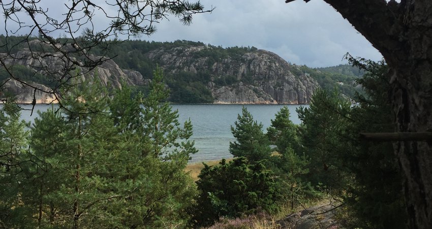 View above the beach.JPG